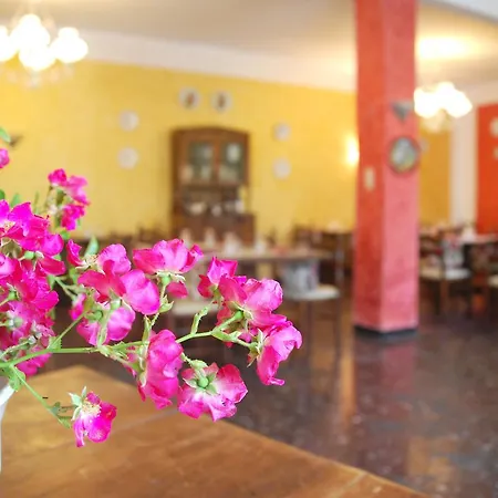 Hotel La Pineta Imperia